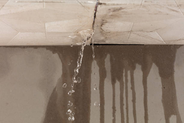 Professional Burst Pipe Cleanup technician working in Gill, CO